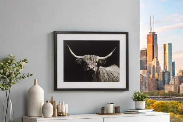 framed print of long horned cow